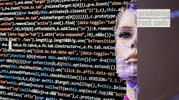 WHAT IS A SOFTWARE BUG?