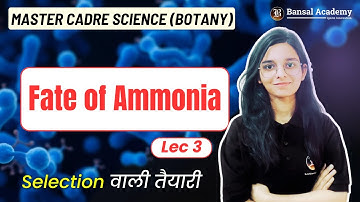 Fate of Ammonia Lec - 3 | Master cadre Botany Preparation | Most Important Topic | Bansal Academy