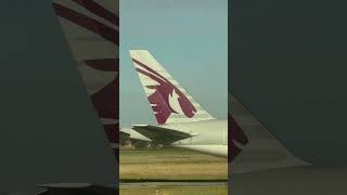 Qatar Airways B777s waiting to go home #aviation #boeing777 #aircraftspotting #avgeeklife #airlines