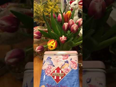 Музыкальная шкатулка "Весенний подарок"с чаем HILTOP "Королевское золото"