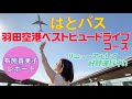 【はとバス】「羽田空港ベストビュードライブ」リニューアルして好評運行中！