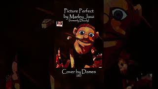 Picture Perfect | COVER #shucks #fnf #pictureperfect