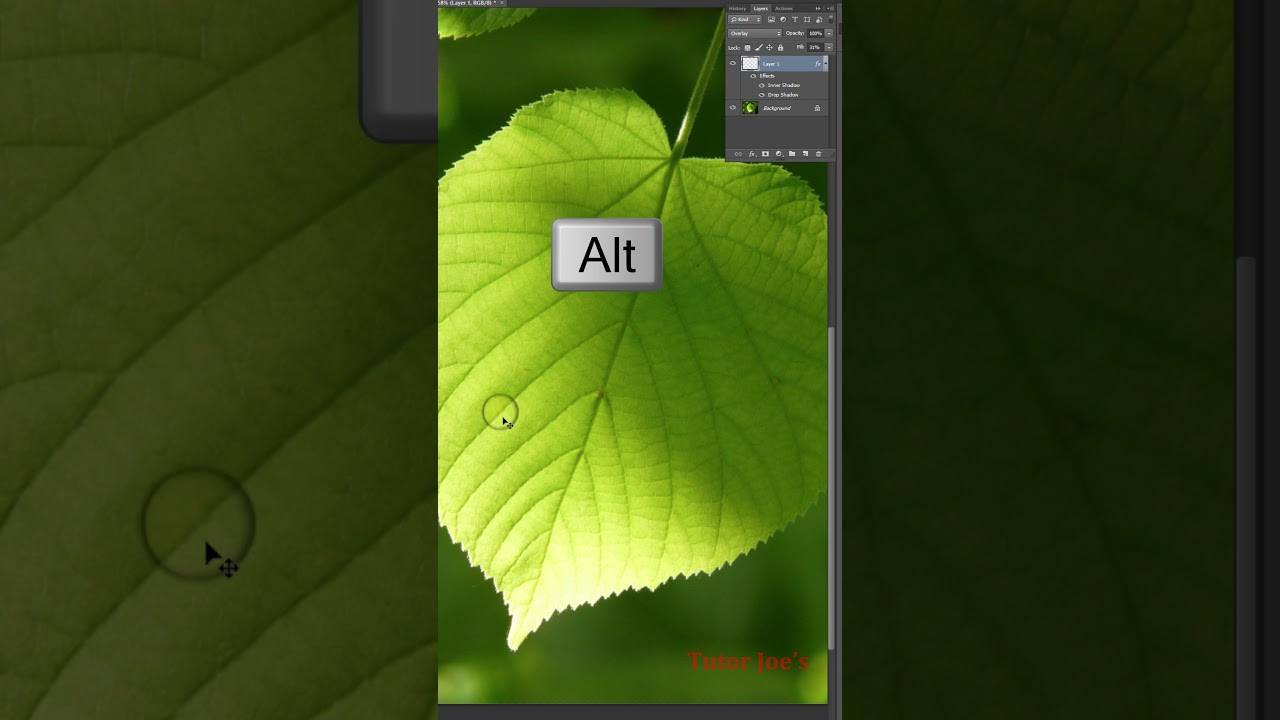 Dewy Delights: Crafting Captivating Water Drop Effects in Photoshop | Tutor Joes