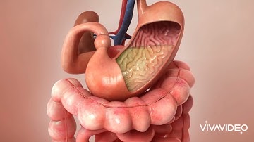 Nurses Zone(documentary)-by-Chipo James Mainda=How aspirin works