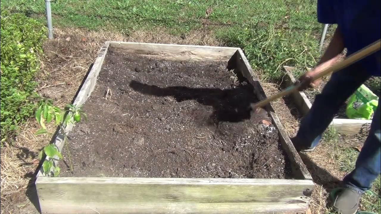 3 Step Method On How To Refresh Your Soil Easy Way To Garden Fall Garden gardening
