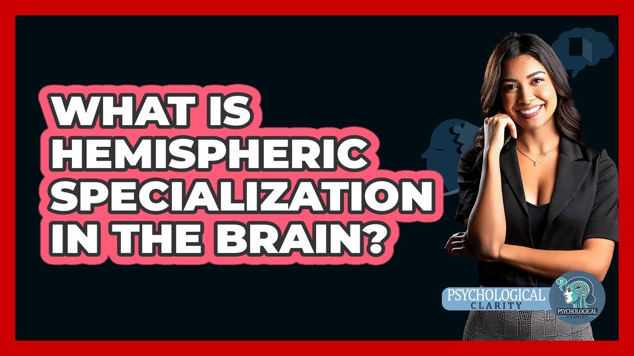 Что такое специализация полушарий мозга? — Психологическая ясность