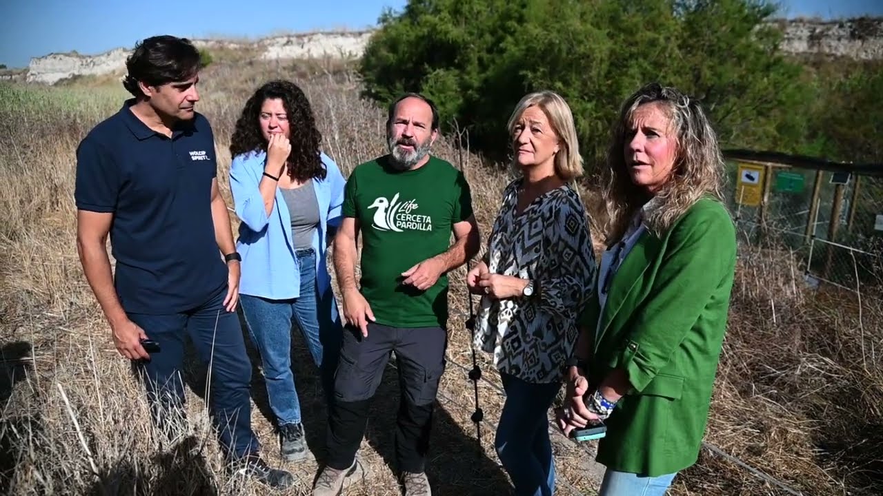 Suelta de 30 cercetas pardillas en Jerez - Holcim, SGHN y LIFE Cerceta Pardilla