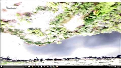 Searchlight Tutorial