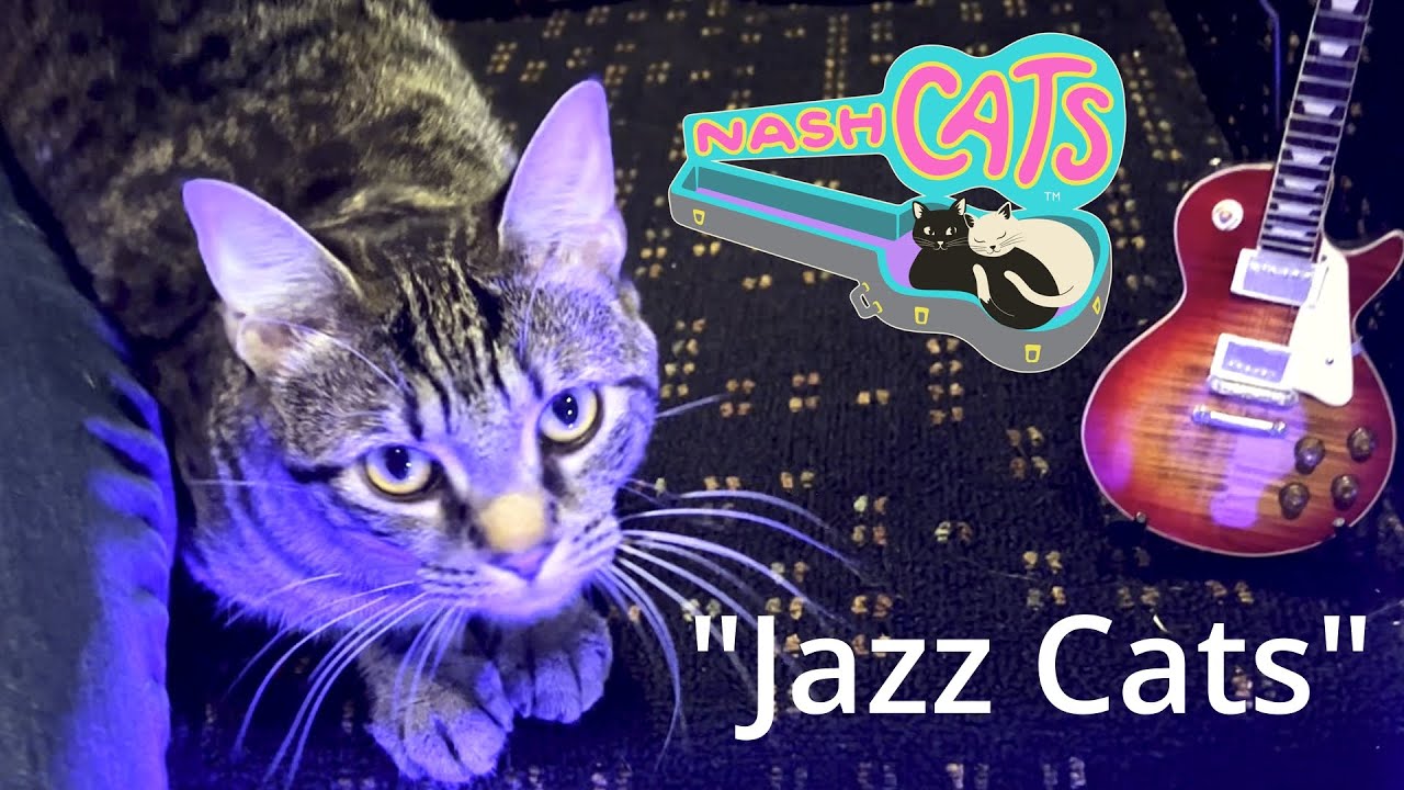 Jazz Cats | NashCats Episode 1