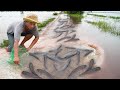 Simple Man Catch fish Using Green Net - Best Fishing on The Road Flooded 2020