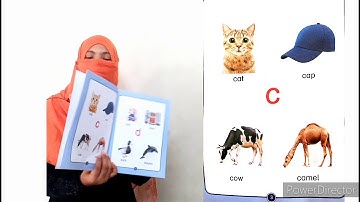 Class Nursery - 13th Working - Assignments for Copy # 03 - HSS