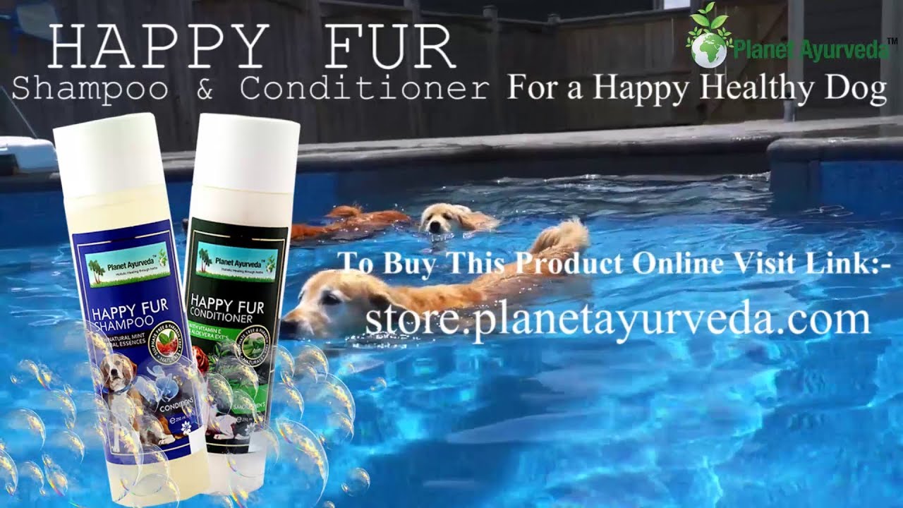 Happy Fur Shampoo & Conditioner For A Happy Healthy Dog YouTube