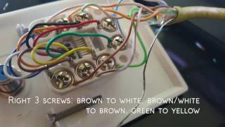 How To Connect A Ethernet Wall Plate You How To Connect A Ethernet Wall Plate, Zenith Ethernet Wall Plate Wiring Diagram