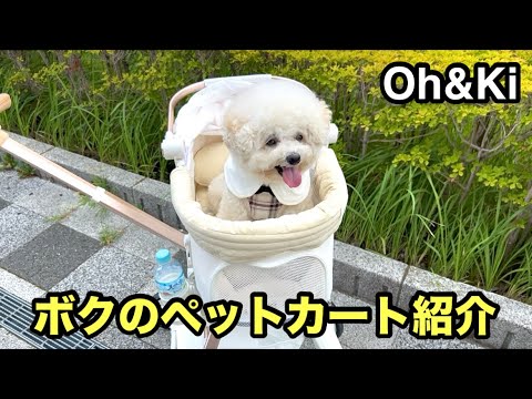 新しいペットカートでお出かけ【Oh&Ki】