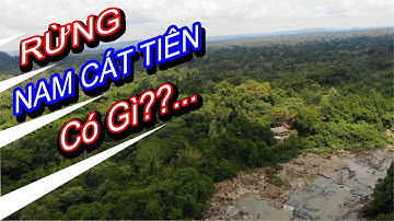 NAM CÁT TIÊN - KHÁM PHÁ THÁC TRỜI, CÂY TÙNG, BẰNG LĂNG 6 NGỌN, CÂY GÕ BÁC ĐỒNG - PHẦN III I PHONG TV