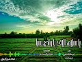 زامل يا سلام الاف كلامات ابو شاجع اداء ابو هذال السيفي وشبل مارب
