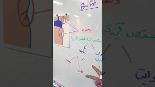 حلقه 40 : دهون الظهر ( Bra fat)