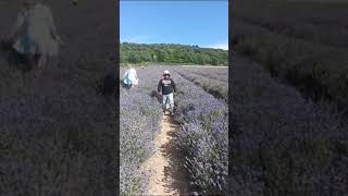 London Flower On Virlie Video