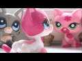 LPS:  I m Girl 1 сезон 1 серия.