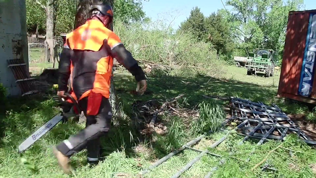 Husqvarna 550xp Mark II cutting trees in bad places and high wind - YouTube