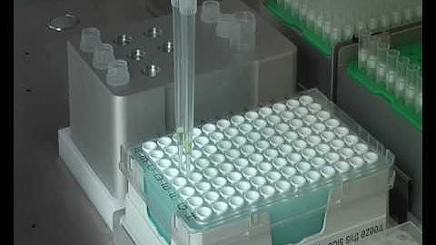 Automated pathogen detection with the foodproof® RoboPrep+ Series_English