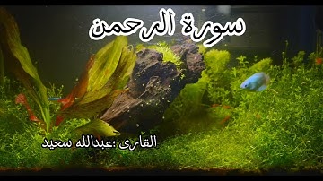 سورة (الرحمن) كاملة، بصوت رائع يشرح الصدر ويريح النفس #عبدالله سعيد. #quran #يوتيوب