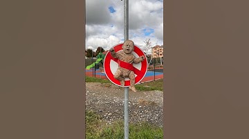 Creative Awareness Art 🔥