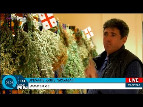 #საქმიანები - კოჯორის ტყის ზღაპარი