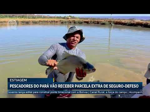 Estiagem: pescadores do Pará vão receber parcela extra de seguro-defeso | Canal Rural