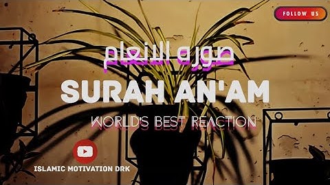 Surah AL AN'AM (سورة الأنعام) | Heart touching really beautiful voice | ISLAMIC MOTIVATION DRK