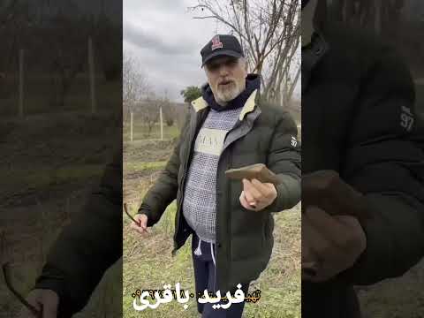نظریه استاد باقری در مورد سفال شکسته و ارتباط با دفینه فریدباقری زیرخاکی طنز واتساب