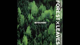 Mitsuhiro (光氷櫓) - Forest x Leaves (森と緑), 1995 (Album)