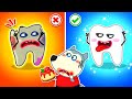 No No Wolfoo! Don't Eat Candy Too Much - Wolfoo Learns Kids Good Habits | Wolfoo Family Kids Cartoon