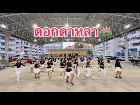จังหวะสนุกๆ “ดอกดาหลา” #โอมทัพห้า #ไลน์แดนซ์สวนสมเด็จนนท์ #ครูฟิกไลน์แดนซ์
