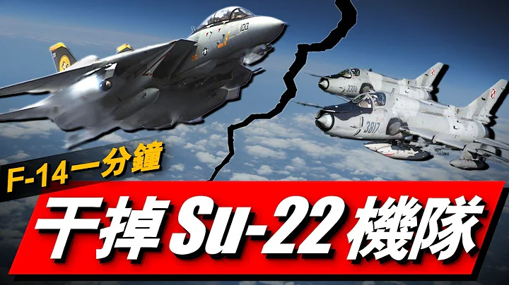 F14究竟有多強？首次實戰2:0，它真的能夠單挑蘇57嗎？ - 天天要聞