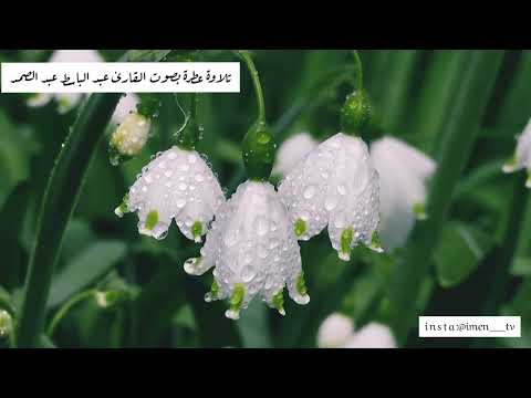 لمن الملك اليوم آيات كريمة بصوت الشيخ عبد الباسط عبد الصمد رحمة الله عليه