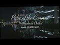 Pulse of the Concrete -Yodoyabashi Osaka- Shot on LUMIX GH7