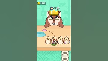 hide and seek cat escape infinity 57