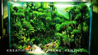 #13 Bikin aquascape pemula tank 60cm bagian ke 2
