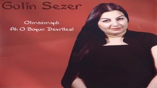 Gülin SEZER - Aman Yar Dağlar Resimi