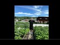 [FREE] FRIENDLY THUG 52 NGG Type Beat - Sky