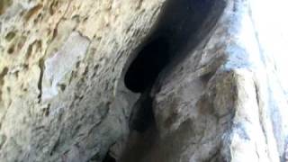 MVI_2415.AVI