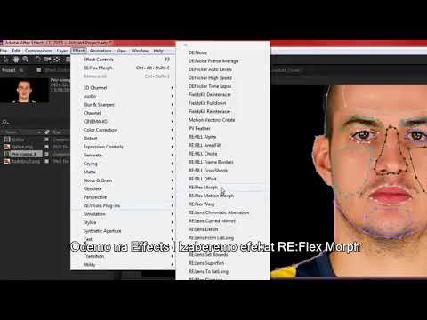MORPHING AFTER EFFECTS RE: Vision Plug-ins RE: Flex Morph