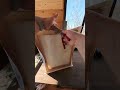 Картина — Красная горка — Горный Алтай