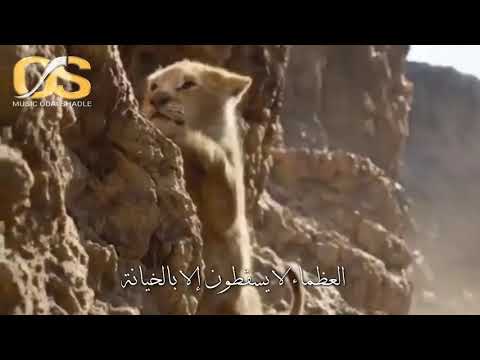 مأمون النطاح ردت اكبرك لكن انته تضل صغير