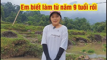 Đi Cấy Lúa Ruộng Bậc Thang Cùng Các Cô Giá Xinh Đẹp Và Bà Con Người Người Dao Nậm Ty - Hoàng Su Phì.