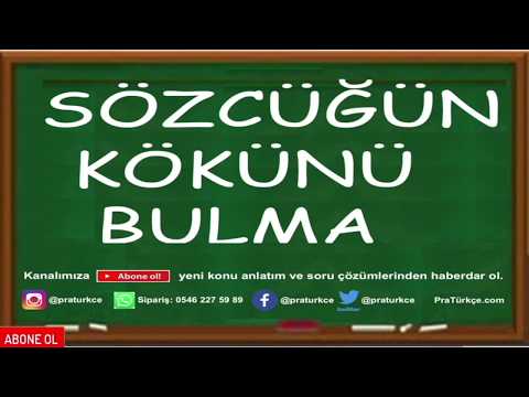 Video: Kök Nasıl Belirlenir