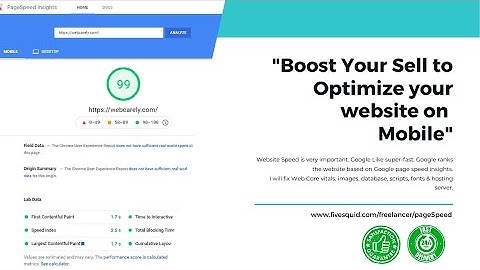 Website Page Speed Optimization in google page speed insights