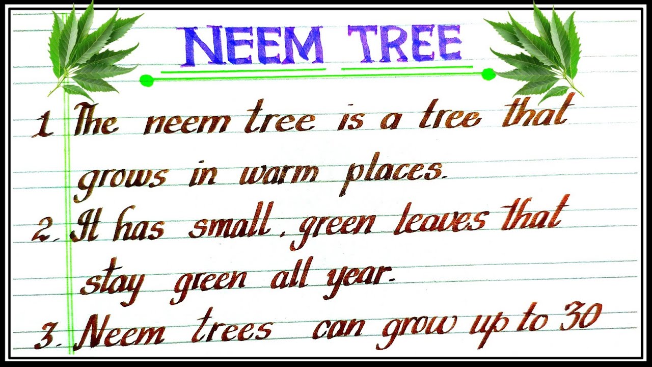 10 lines on neem tree in english | Essay on neem tree in english | Benefits of neem tree