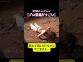 全身泥だらけのニンニン… #shorts #aespa #ニンニン #カリナ #ウィンター #ジゼル #karina #韓国美容 #韓国ダイエット #筋トレ #全身痩せ #ダイエット #二の腕痩せ